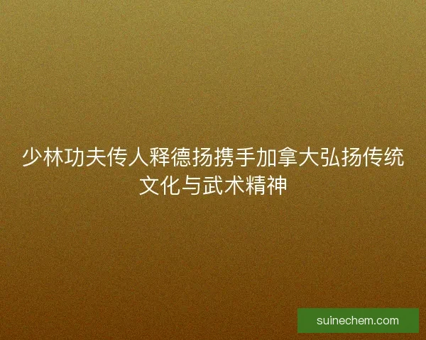 少林功夫传人释德扬携手加拿大弘扬传统文化与武术精神
