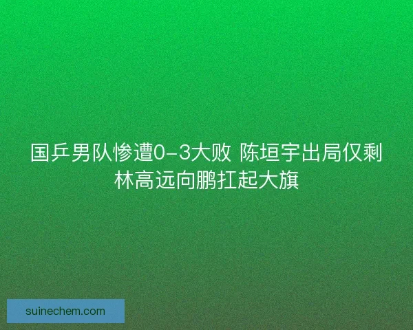 国乒男队惨遭0-3大败 陈垣宇出局仅剩林高远向鹏扛起大旗 国乒男队惨遭0-3大败 陈垣宇出局仅剩林高远向鹏扛起大旗