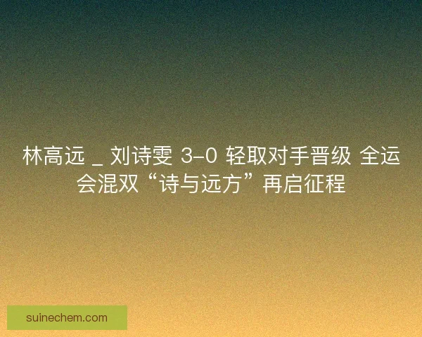 林高远 _ 刘诗雯 3-0 轻取对手晋级 全运会混双 “诗与远方” 再启征程