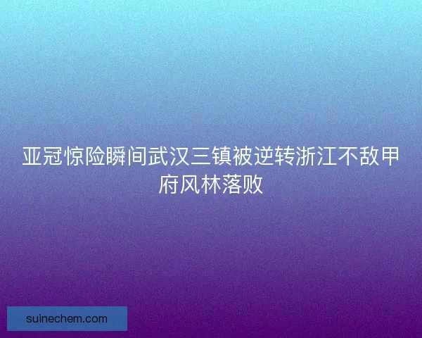 亚冠惊险瞬间武汉三镇被逆转浙江不敌甲府风林落败