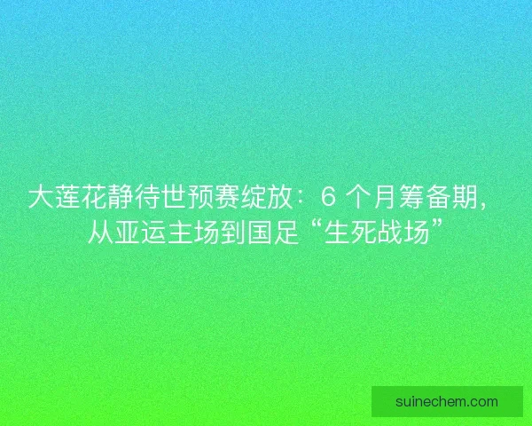 大莲花静待世预赛绽放：6 个月筹备期，从亚运主场到国足 “生死战场”